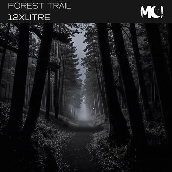 Forest Trail
