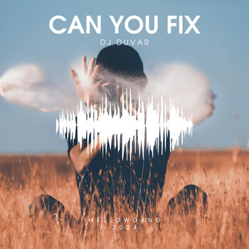 Can You Fix