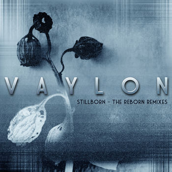 Stillborn-The Reborn Remixes