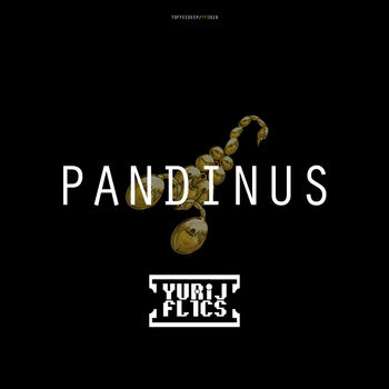 Pandinus