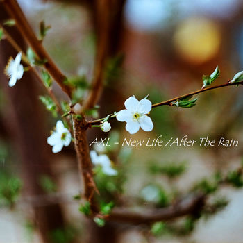 New Life / After The Rain EP