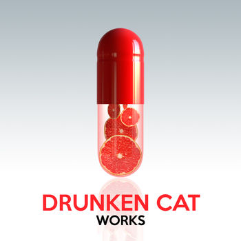 Drunken Cat Works