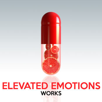 Elevated Emotions Works