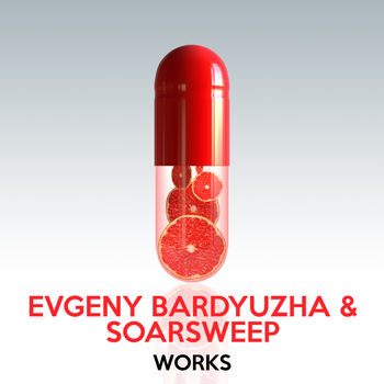Evgeny Bardyuzha & Soarsweep Works