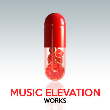 Music Elevation Works