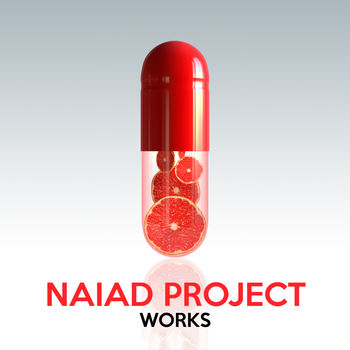 Naiad Project Works