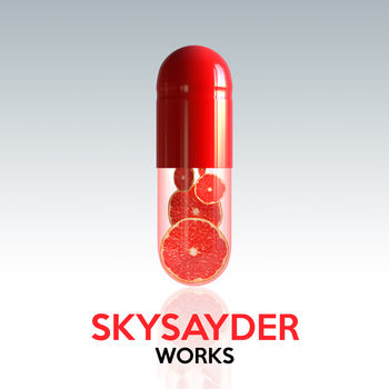 Skysayder Works