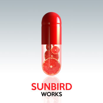 Sunbird Works