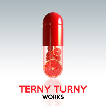 Terny Turny Works