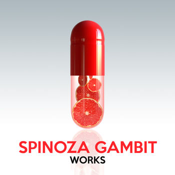 Spinoza Gambit Works