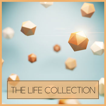 The Life Collection