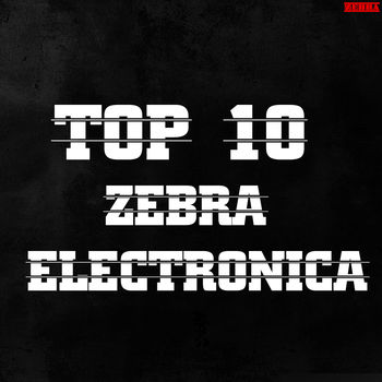 Top 10 Zebra Electronica