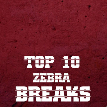 Top 10 Zebra Breaks