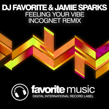 Feeling Your Vibe (Incognet Remix)