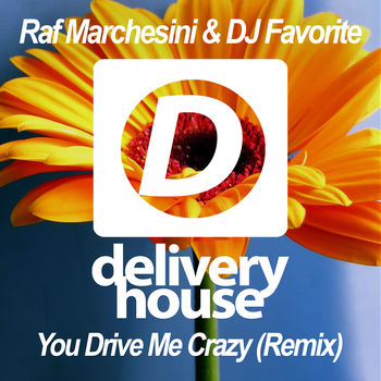 You Drive Me Crazy (DJ Kharitonov Remix)