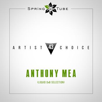 Artist Choice 043. Anthony Mea (Liquid Dnb Selection)