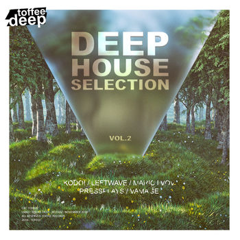 Deep House Selection Vol.2