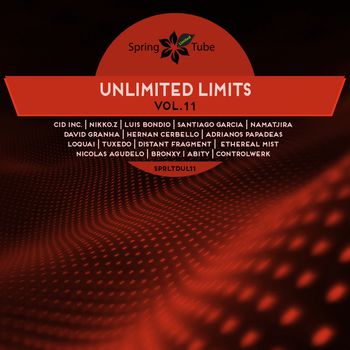 Unlimited Limits, Vol.11