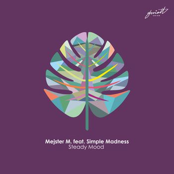 Feat. Simple Madness - Steady Mood