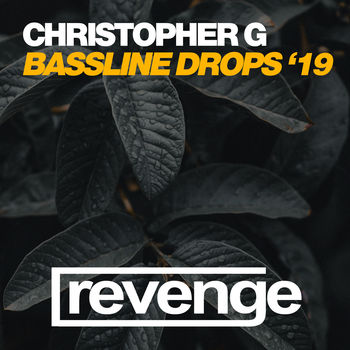 Bassline Drops '19