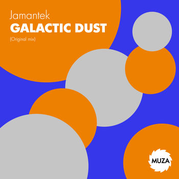 Galactic dust