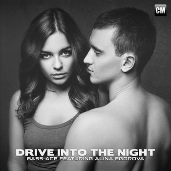 Drive Into The Night