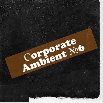 Corporate Ambient №6