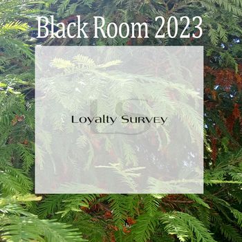 Black Room 2023