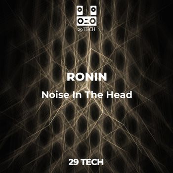 Noise In The Head