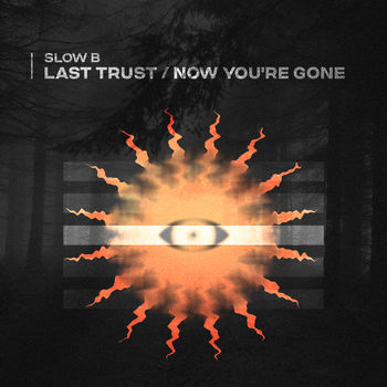 Last Trust \ Now You're Gone
