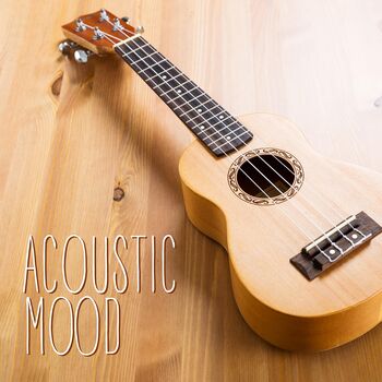 Acoustic Mood