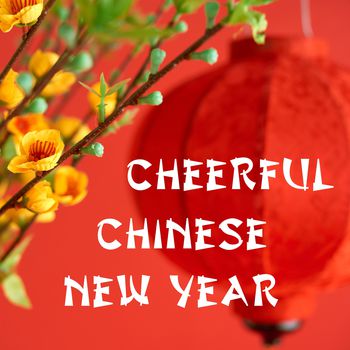 Cheerful Chinese new year
