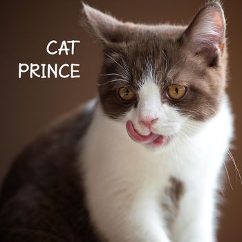 Cat prince (19s)