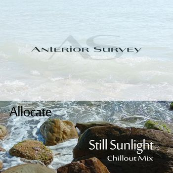 Allocate - Still Sunlight