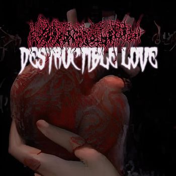 destructible love