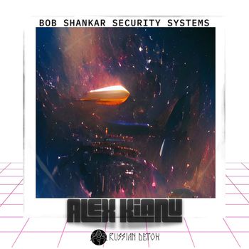 Bob Shankar Security Systems