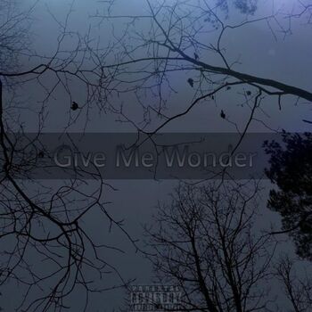 Give Me Wonder
